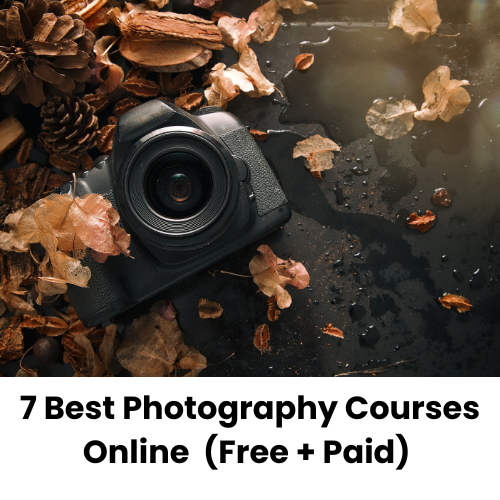 CA Article Images 3 1